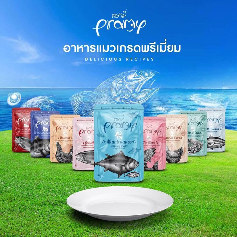 (โหล)Pramy พรามี่ อาหารเปียกแมว สุขภาพดี ขนาด 70 กรัม