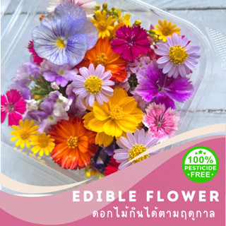 ดอกไม้กินได้ แบบคละชนิด Edible Flower ดอกไม้สด ดอกไม้ปลอดสาร ดอกไม้แต่งเค้ก พร้อมใช้