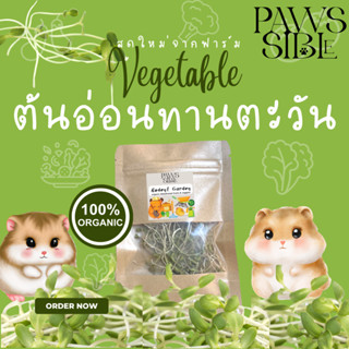 [Paws-sible] Rodent Garden: ต้นอ่อนทานตะวันอบแห้ง ออแกนิก