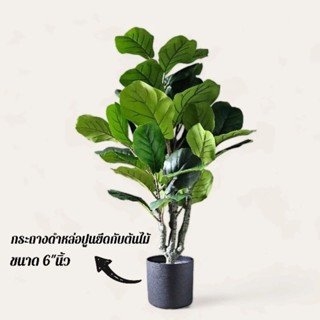 ต้นไม้ปลอมเกรดพรีเมี่ยม ต้นไทรใบสักปลอม" ฟอร์มกอ " (fake tree) ครบชุดพร้อมโชว์