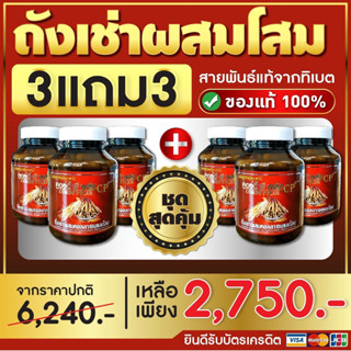 โปร 3 แถม 3 ถั่งเฉ้าCORDY PPLUSคอร์ดี้ พี พลัส ผสมคอลลาเจนและโสมสกัดCORDYPLUSคอร์ดี้พลัส CORDY-1คอร์ดี้พลัส