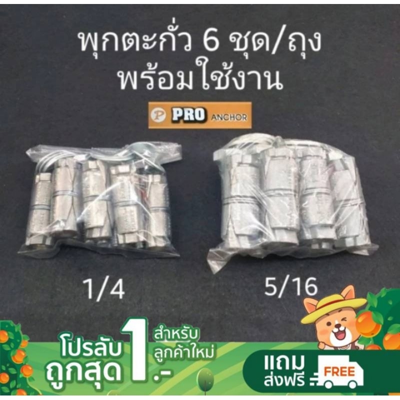 [ลูกค้าใหม่ 1 บาท] พุกตะกั่วPRO พร้อมน๊อตและแหวน พร้อมใช้งาน 6 ชุด พุกตะกั่ว1/4  5/16