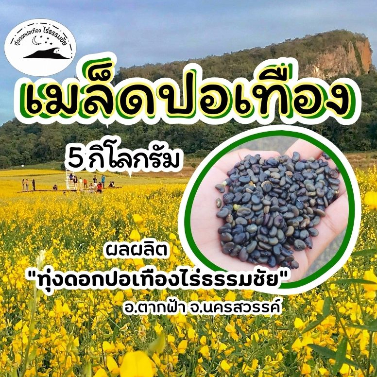 เมล็ดพันธุ์ปอเทือง บรรจุ 5 กก. แห้ง สะอาด พร้อมหว่าน (ออเดอร์ละไม่เกิน 20 กก.)