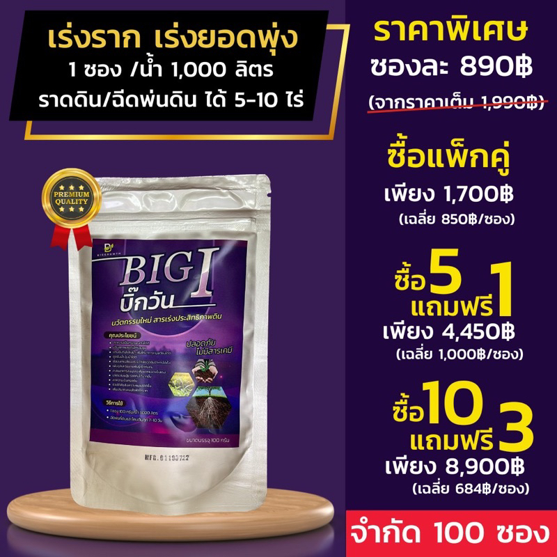 บิ๊กวัน รากโตไว เร่งการแตกยอดใบ รากแข็งแรง 100 กรัม Biggrowth/
