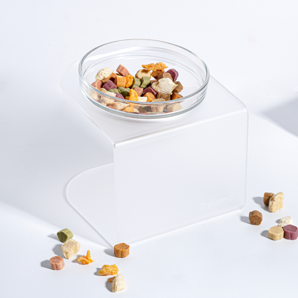 ชามอาหารสัตว์เลี้ยงยกสูงปรับองศา Dylano Elevated Pet Bowl (S+)