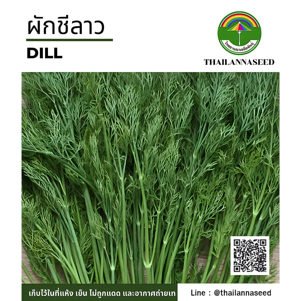 เมล็ดพันธุ์ผักสวนครัว ผักชีลาว ( ขนาด 2 กรัม ) รหัสสินค้า 6029