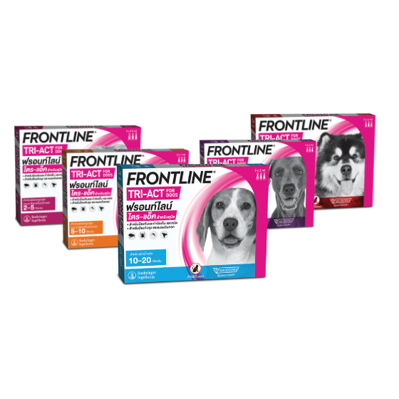 FRONTLINE TRI-ACT กำจัดเห็บหม้ด+ไล่ยุง สำหรับสุนัข