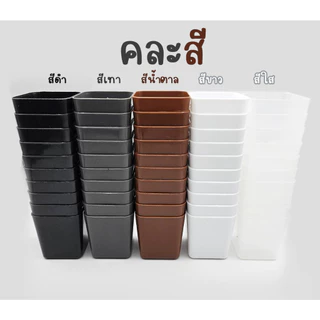 แพ็ค 100 ชิ้น กระถางต้นไม้ กระถางแคคตัส ขนาด 2 นิ้ว