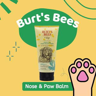 โลชันทาจมูกและอุ้งเท้าสำหรับสุนัข Burts Bees - Restoring Nose &amp; Paw Balm 177ml.