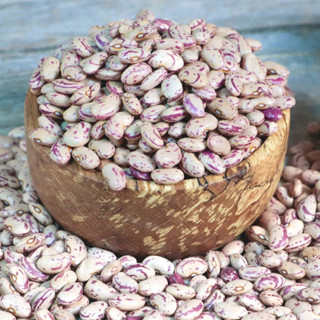 Fitfood - Pinto Beans (ถั่วปินโต) 500 g.