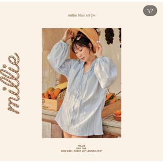 Millie stripe blue แบรนด์ lookbook