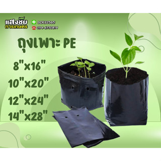 ถุงเพาะชำสีดำ เนื้อ PE อย่างหนา เหนียวดี เหมาะสำหรับเพาะปลูกต้นไม้ ถุงปลูกต้นไม้ คุณภาพดี ราคาถูก