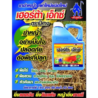เฮอร์ต้าเอ็กซ์ 4ลิตร (กระติกฟ้า) (ยกลังมี6กระติก)