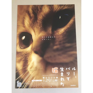 Handbill (แฮนด์บิลล์) หนัง“A Cats Life/Mon chat et moi, la grande aventure de Rroû”แบบที่2 ใบปิดจากญี่ปุ่น ราคา 99 บาท