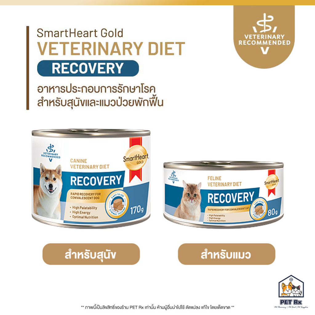 SmartHeart Gold: Recovery [แท้💯] อาหารประกอบการรักษาโรคสำหรับสุนัขและแมวป่วยหรือป่วยพักฟื้น หลังการรักษาหรือผ่าตัด