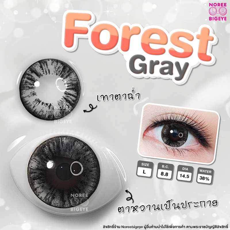 Forest Gray/สีเทา [สายตาสั้น -0.00 ถึง -10.00] Size Bigeye (L) ขนาดใหญ่ / คอนแทคเลนส์  / ยี่ห้อ Pret