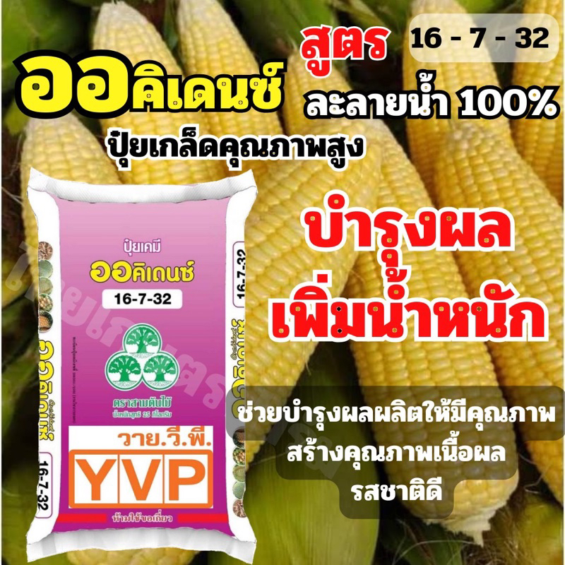 ปุ๋ย 16-7-32 ปุ๋ยเกล็ด(แบ่งขาย 1กก.)ออคิเดนซ์ ระบบน้ำปุ๋ยละลายน้ำ(บำรุงผล เพิ่มน้ำหนัก)