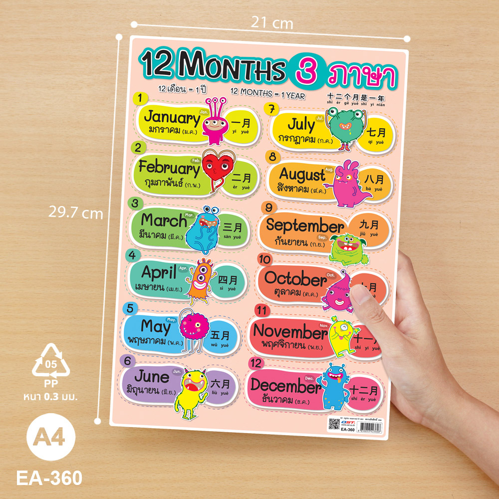 โปสเตอร์ความรู้ EA-360 12Months 3ภาษา ลายการ์ตูน เช่น 1 January มกราคม (ม.ค.) ภาษาจีน คำอ่านพินอิน y