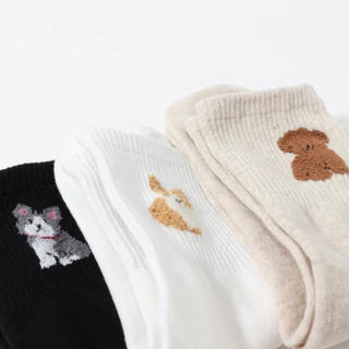 Chacha socks - ถุงเท้าข้อยาว Doggy Club ถุงเท้านำเข้าจากเกาหลี ถุงเท้าเกาหลี