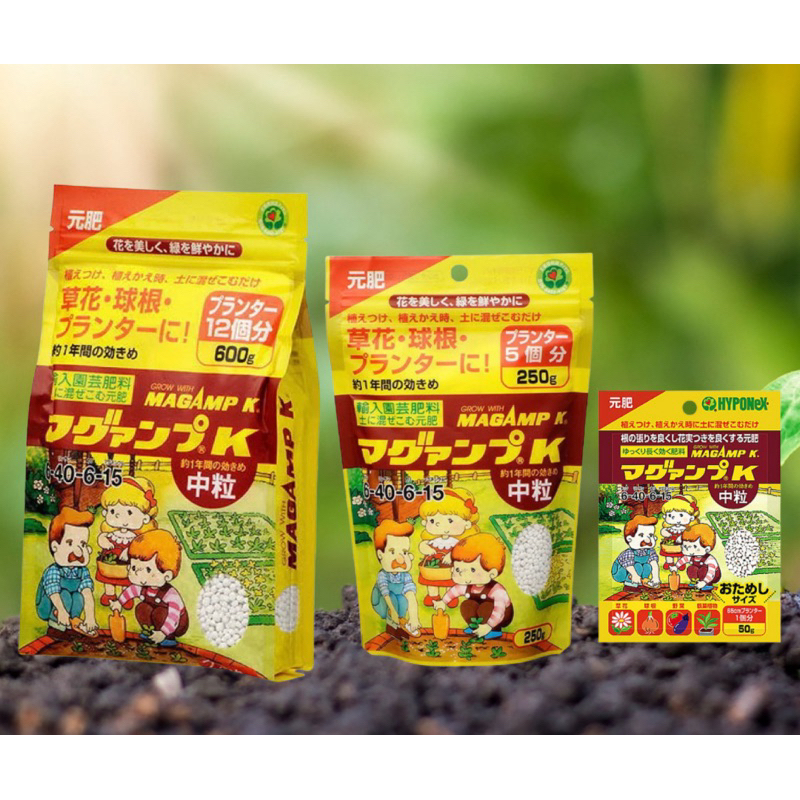 Hyponex magamp ปุ๋ยละลายช้า แม็กคัม ปุ๋ยเม็ดคุณภาพสูงพิเศษ ปุ๋ยญี่ปุ่น50g/250g/600g