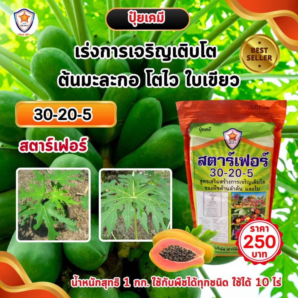 ปุ๋ย ฉีดพ่น ต้นมะละกอ โตไว ใบเขียว เร่งราก เร่งดอก ผลใหญ่ ดกเต็มต้น น้ำหนักดี เพิ่มผลผลิต โดย สตาร์เฟอร์