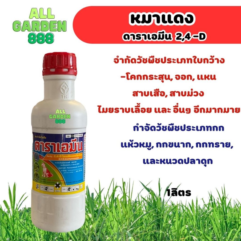 หมาแดงน้ำ ดาราเอมีน กำจัดวัชพืชใบกว้าง ยาฆ่าหญ้า ผักบุ้ง แห้วหมู กก หญ้าใบกว้าง หญ้ายาง ตราหมาแดง 2,