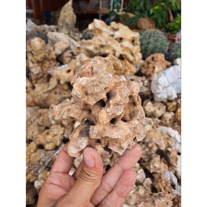 หินก้อนไซส์​เล็กจิ๋ว หินก้อนน้ำตาล สีธรรมชาติ ใช้ตกแต่งสวนถาดและตกแต่งบอนไซเพื่อความสวยงาม - รูปที่ 2