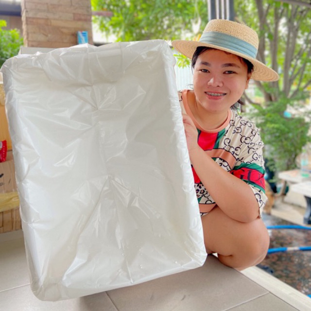 ถุงรองกล่องกุ้งสีขาว39x54x20(แบบสวม)