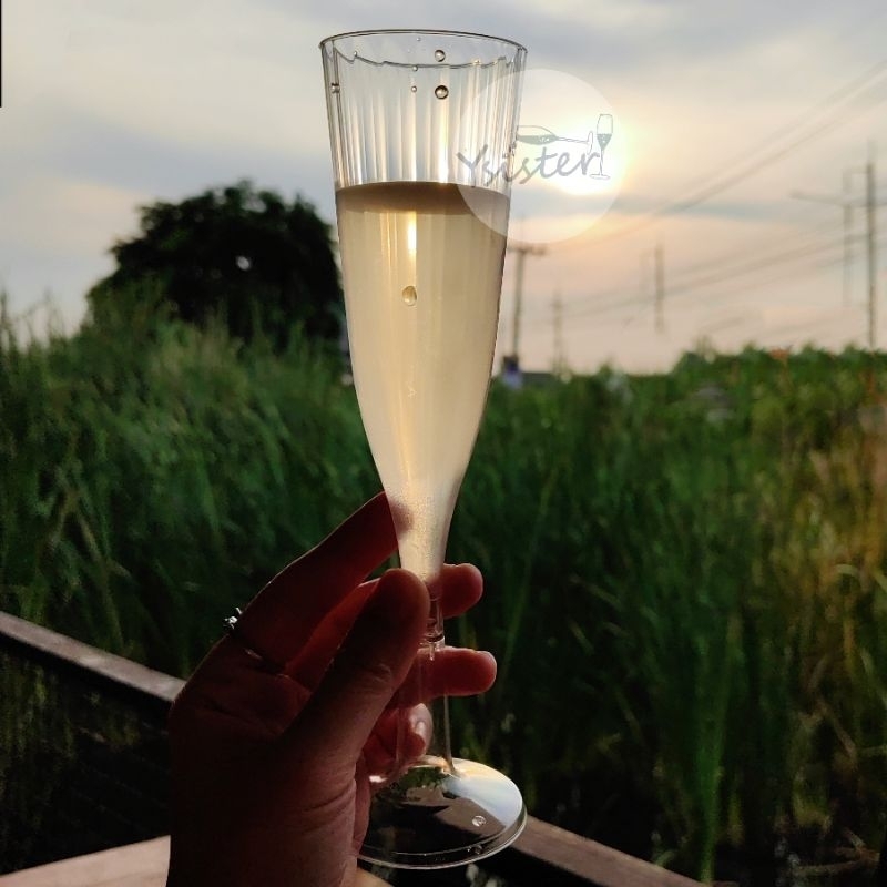 Champagne glass CUTE!! แก้วแชมเปญพลาสติก ดีไซน์ลายริ้ว 1แพค/10ใบ