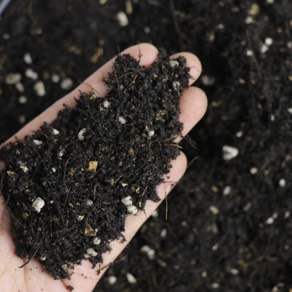 1กิโล!! ดินพร้อมปลูก ดินปลูกต้นไม้ ดินปลูก ดินปลูกผัก ดินปลูก ดินหมัก