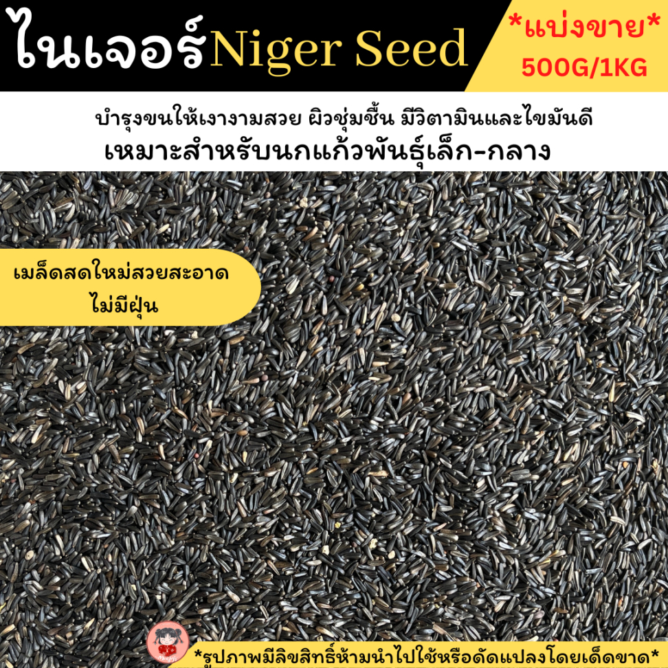 เมล็ดไนเจอร์(Niger seed)witte melon ช่วยบำรุงขน เหมาะกับนกทุกสายพันธุ์เมล็ดสะอาด ใหม่ไร้ฝุ่น