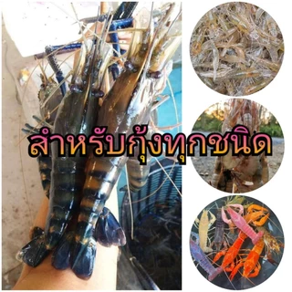อาหารกุ้ง พรีเมี่ยม โปรตีน 43% ค่าส่งถูก คุณภาพจัดเต็ม คุ้มราคา