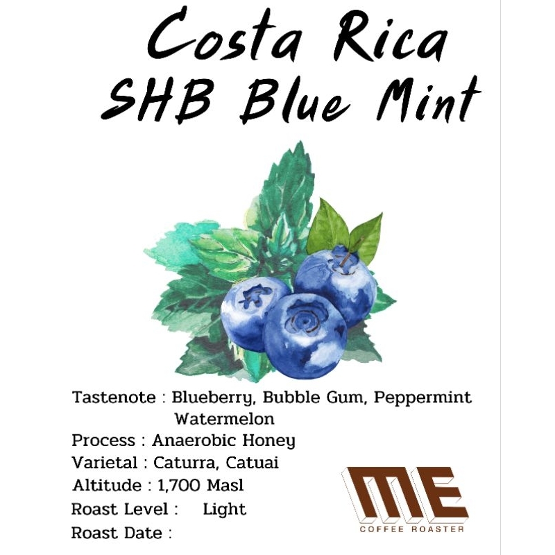 เมล็ดกาแฟ Costa Rica SHB Blue Mint คั่วอ่อน (Blueberry ชัดมากๆ)