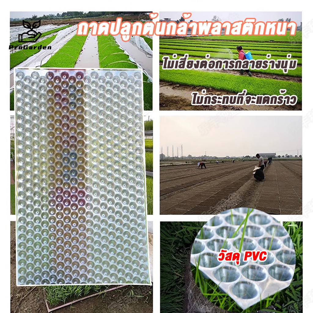PG.ถาดเพาะกล้า  ถาดเพาะเมล็ด ถาดเพาะปลูกผัก 434หลุม เมล็ด เมล็ดพันธุ์ 50pcs