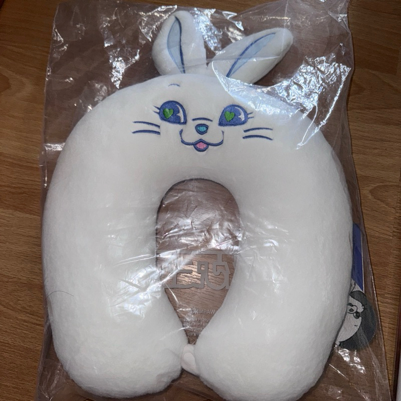 [พร้อมส่ง] Newjeans Tokki Pillow Haerin