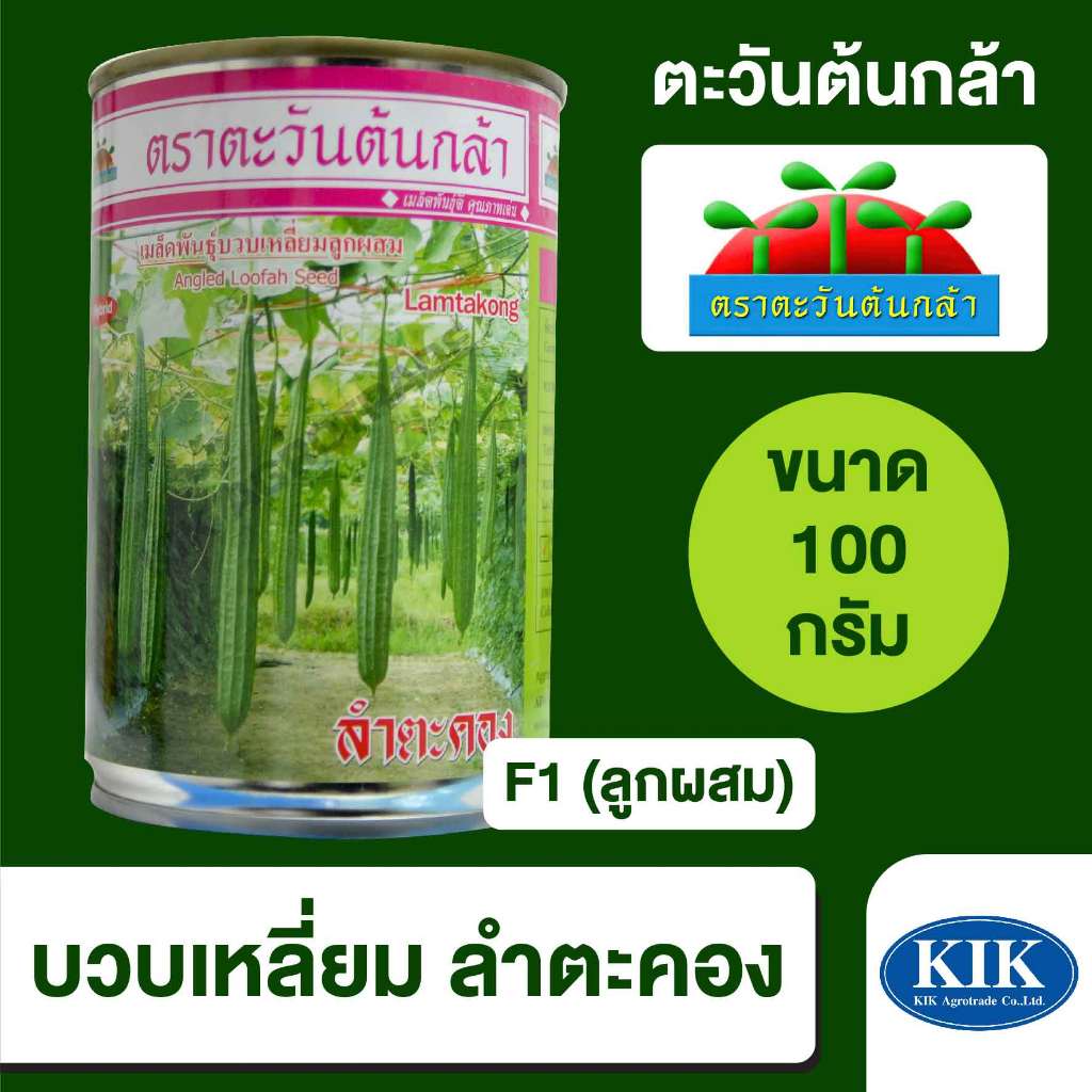เมล็ดพันธุ์ ตะวันต้นกล้า บวบเหลี่ยม ลำตะคอง SP BIG  ขนาด 100 กรัม