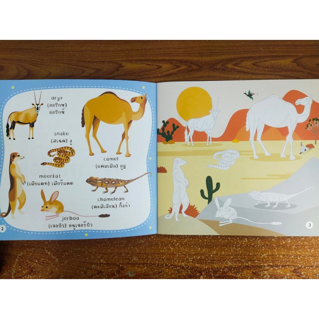หนังสือเด็ก แบบฝึกเสริมทักษะภาษาอังกฤษ เด็กปฐมวัย : ฝึกอ่านและระบายสี My First Word Animails ราคา ถูกที่สุด ดีลบีเคเค แกลเลอรีภาพที่ 3