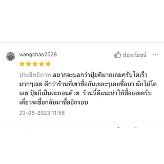 ปุ๋ยAB ชุด50ลิตร แถมชามะนาว2ขวด สูตรพลังม้า ผักไฮโดรโปนิกส์ น้ำวนน้ำนิ่ง ผักสลัด ผักไทย จีนและพ่นทางใบพืชทุกชนิด เข้มข้น