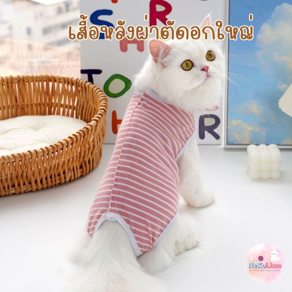 เสื้อหลังผ่าตัดอกใหญ่ หมาเล็ก หมากลาง เสื้อทำหมัน สุนัข แมว Pet Recovery Suit กันเลีย ป้องกันเลียแผล