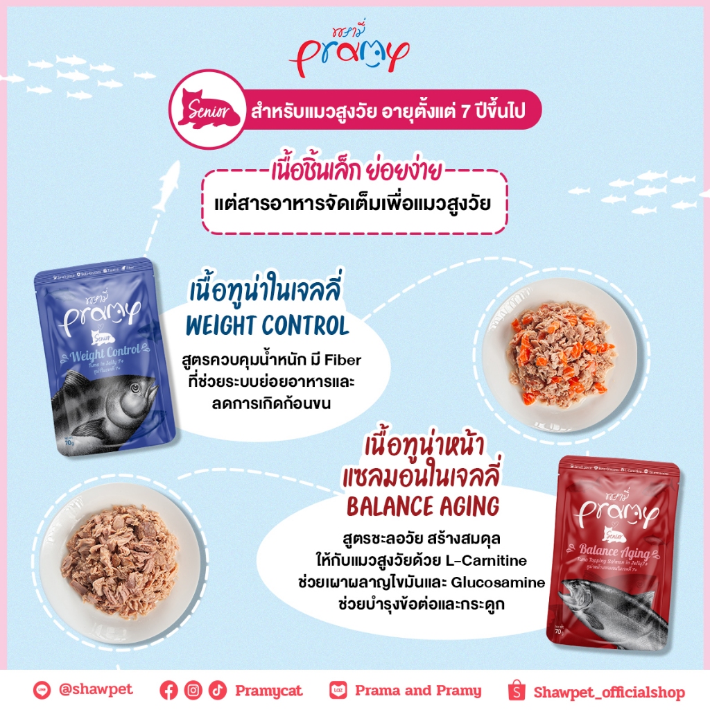 [ยกลัง 48 ซอง] Pramy อาหารเปียก พรามี่ 70 กรัม สูตรเยลลี่ สูตรเกรวี่ สูตรลูกแมว สูตรแมวสูงวัย รูปที่ 7