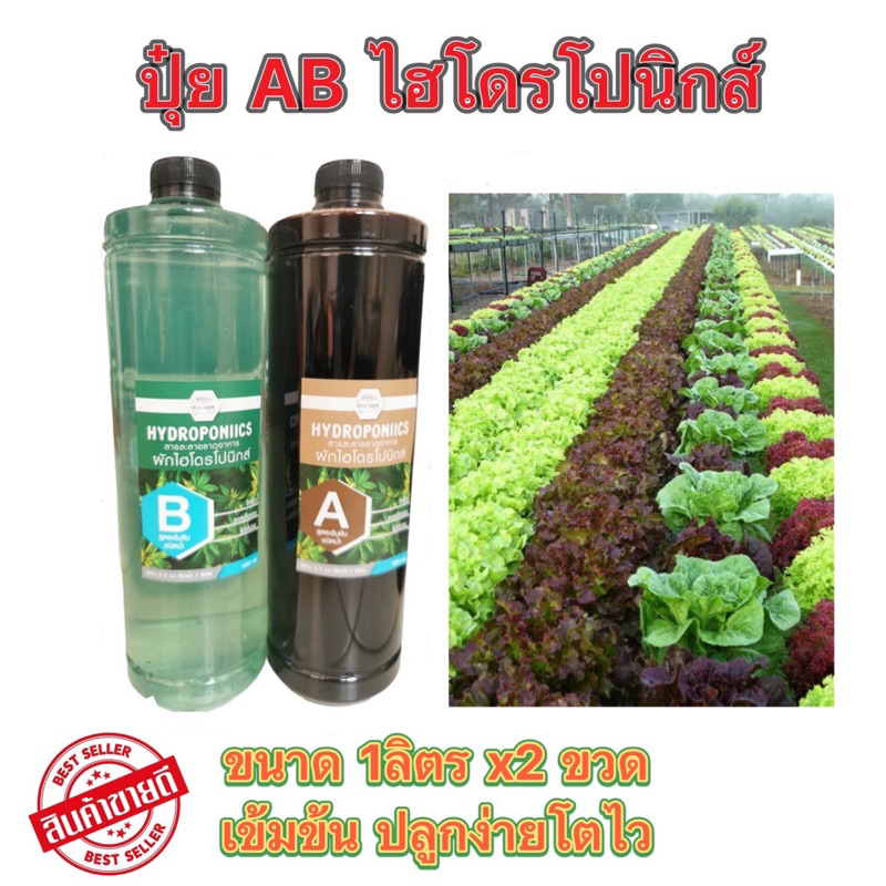 ปุ๋ยAB ขนาด1ลิตร A+B ปุ๋ยน้ำปลูกผักสลัดปุ๋ยไฮโดรโปนิกส์