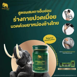 ยาหม่องเขียว ผสมเถาเอ็นอ่อน ตราช้างไทย