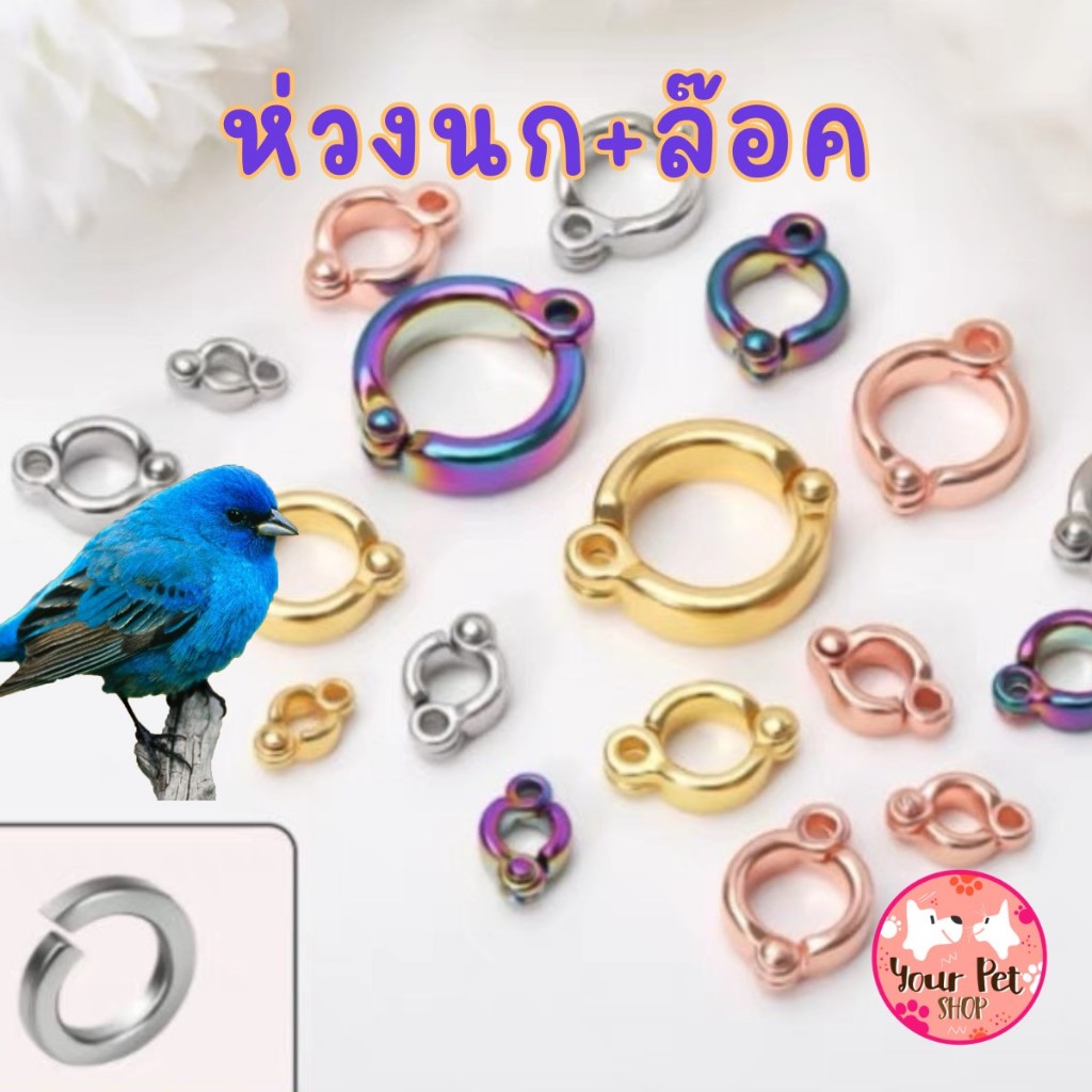 ห่วงเปิดขานก พร้อมล๊อค ห่วงขานก Bird นกแก้ว ฟอพัส หงส์หยก คอนัวร์ เลิฟเบิร์ด นกฟินซ์