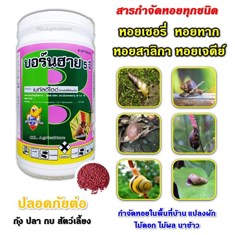 ยาฆ่าหอยทาก ยากําจัดหอยทาก หอยทาก หอยเชอรี่ หอยเจดีย์ บอร์นฮาย เมทัลดีไฮด์ สารกำจัดหอย​ กำจัดหอยหาก หอยเชอร์รี่ หอยกัดใบ