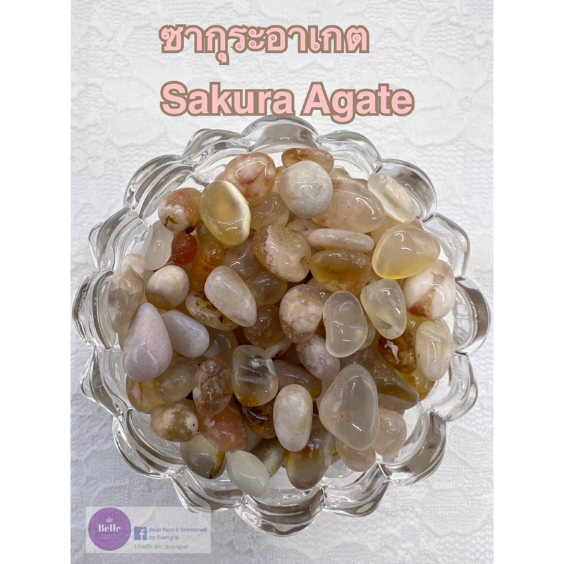 ซากุระอาเกต Sakura Agate หินนำโชค ขนาดกลาง 60 กรัม / Cherry Blossom Agate/ Flower Agate