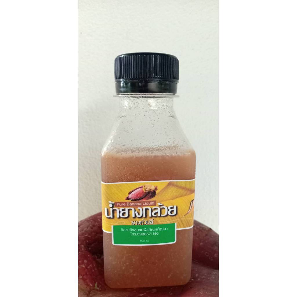 น้ำยางกล้วย ยางหัวปลี ใช้ย้อมผ้า เขียนสี เพ้นท์ผ้า ยางกล้วย Pure BANANA Liquid ยางกล้วย100%ใช้สำหรับเพ้นท์สีผ้า