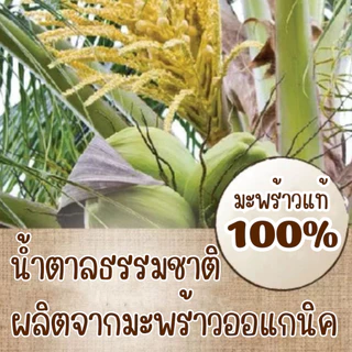 น้ำตาลมะพร้าว ออร์แกนิค แท้ 100% มีอย. ชนิดผง 300/500 กรัม ตรา Sugar Boy 100% Organic Coconut Sugar Powder 300/500 grams