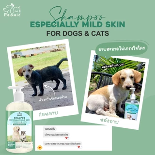 ✨กลิ่นหอมมาก✨แชมพูอาบน้ำหมา&แมว สูตรผิวแพ้ง่ายใช้ได้ ออร์แกนิค ขนนุ่มฟู ลดขนร่วง เข้าตาได้ไม่แสบ สูตรอ่อนโยน