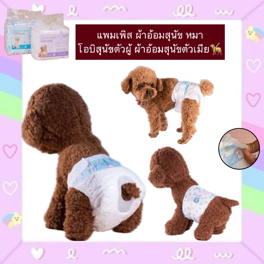 PP-339 แพมเพิส ผ้าอ้อมสุนัข หมา โอบิสุนัขตัวผู้ ผ้าอ้อมสุนัขตัวเมีย แบบสวมใส่ ราคาถูก พร้อมส่ง