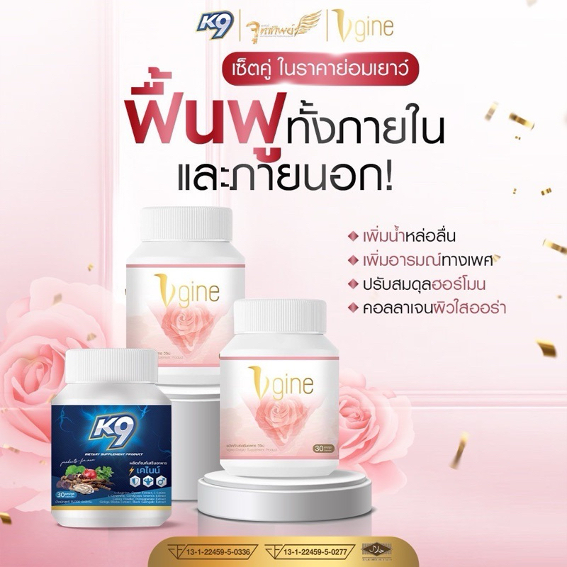 ผลิตภัณฑ์เสริมอาหารวีจิเน่+k9